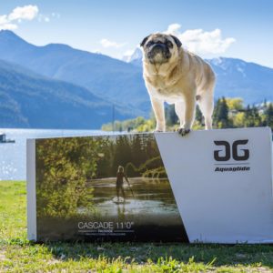 A pug stands on top of a boxed Cascade 10 with mountains and a beautiful lake in the background